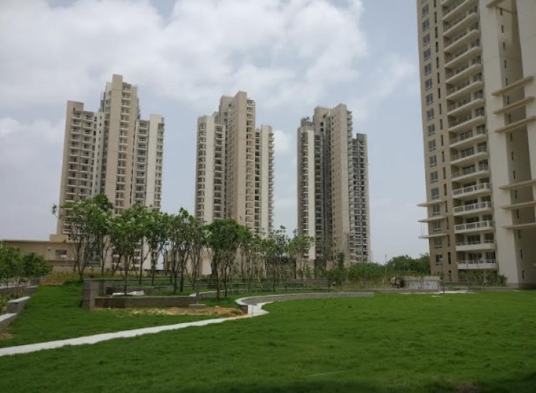 Sustainability Shaping the Realty Landscape, Witnesses an Increase in Green Real Estate