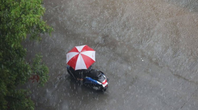Monsoon progressing normally, to likely reach Maharashtra in 2 days: IMD