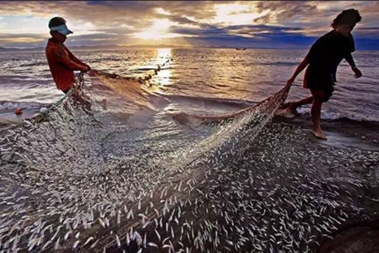 Curb on fishing subsidy to affect millions of Indian fishers: Report