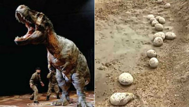 Rare dinosaur 'egg-in-egg' found by DU researchers in MP
