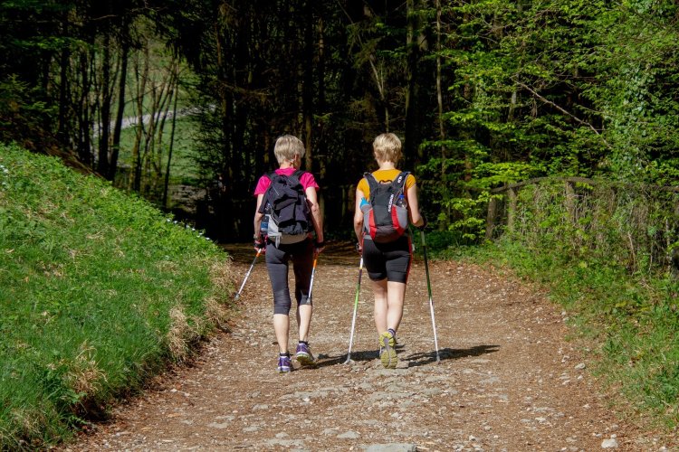 Research suggests Nordic walking improves functional capacity in heart disease patients