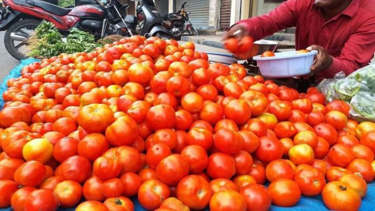 Tomato rates up 44% in Delhi in 1 mth; avg price up 27