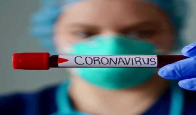 MP logs 19 coronavirus cases