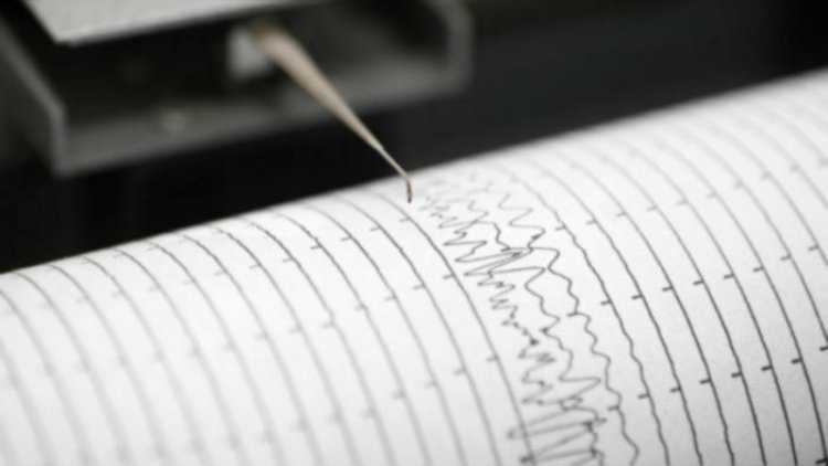 Mild tremors felt in Karnataka's Dakshina Kannada