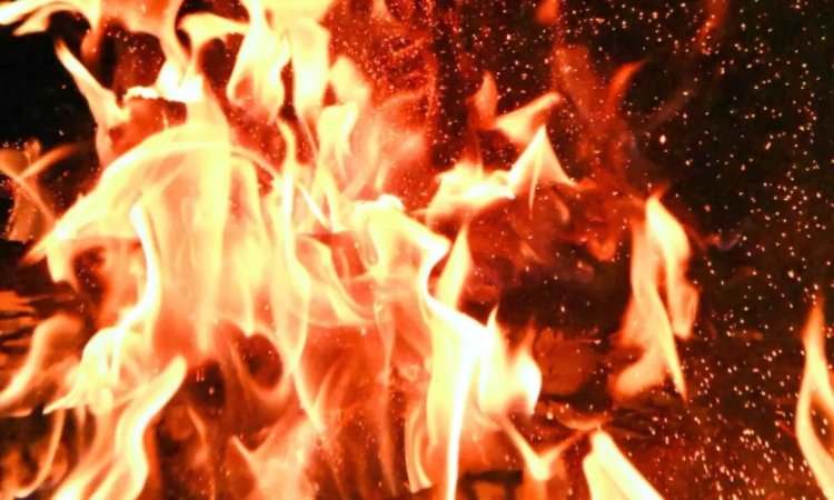 Fire breaks out in cold storage in Amritsar, no casualty