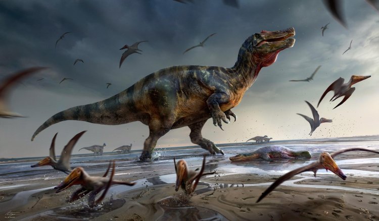 Study: Dinosaurs takes over amid ice not warmth