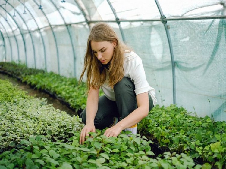 Study: Gardening helps to achieve better mental health Q