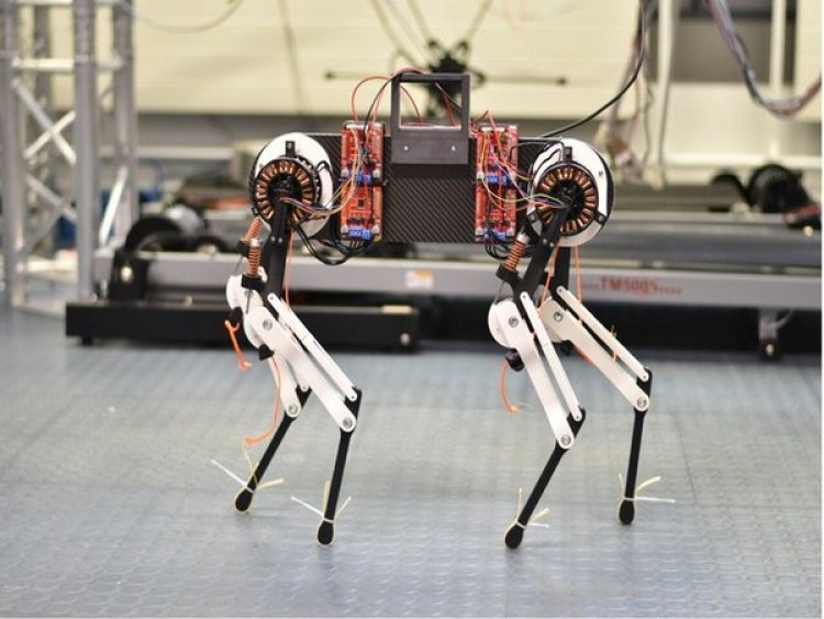 Scientists create dog-sized robot to study how animals learn to walk