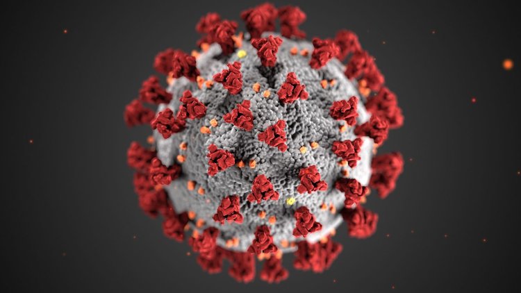Over 14 mn children in US infected with Covid since virus outbreak