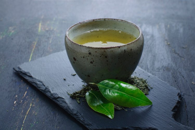 Research reveals green tea extract improves gut health and lowers blood sugar level