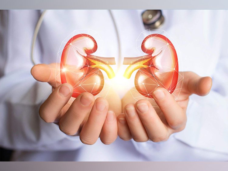 Study finds metabolism might be vital for future kidney disease treatment
