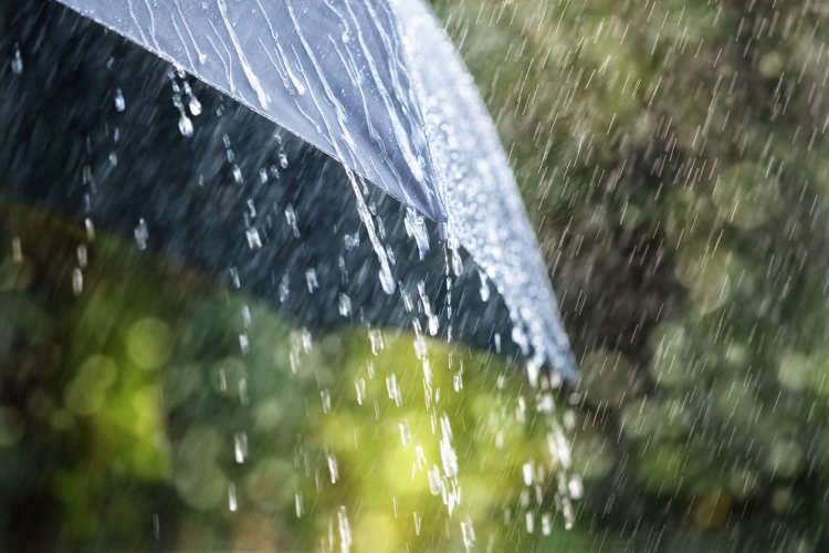 Mumbai receives 31.17% of average annual rainfall this monsoon season