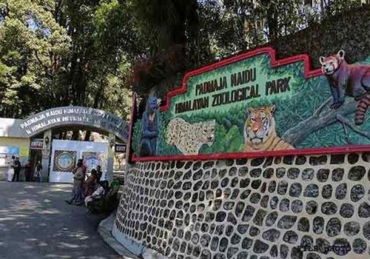 Darjeeling zoo recognised as best in India