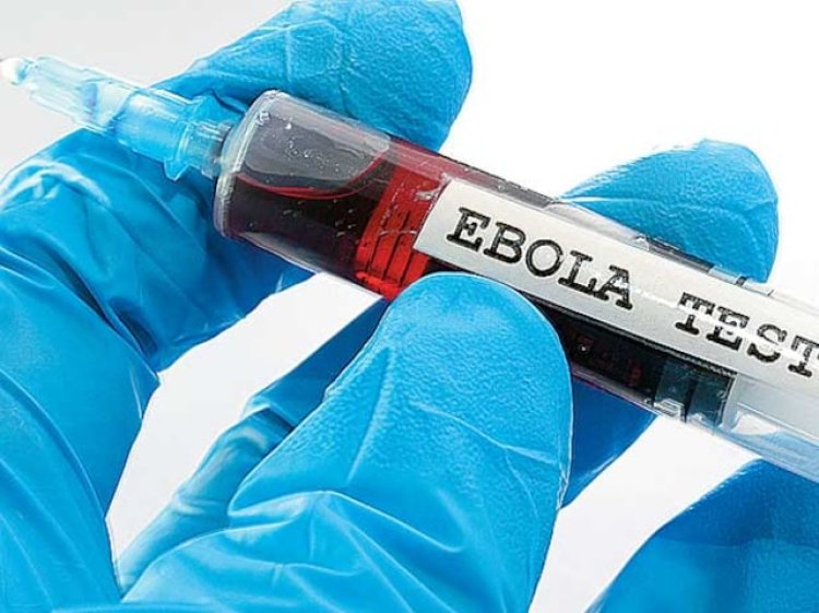 Africa CDC calls for enhanced Ebola control measures amid new outbreak