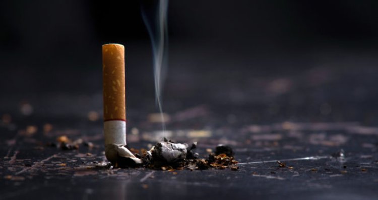 Tobacco major risk factor for heart diseases, strong law must to check fatalities, say experts