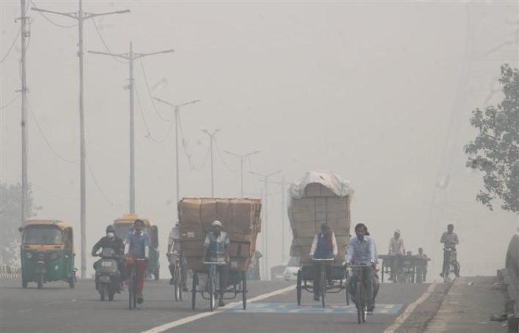 Hyperlocal emissions behind spike in Delhi's air pollution after Dussehra