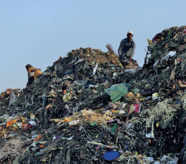 Book addresses issue of solid waste management in India