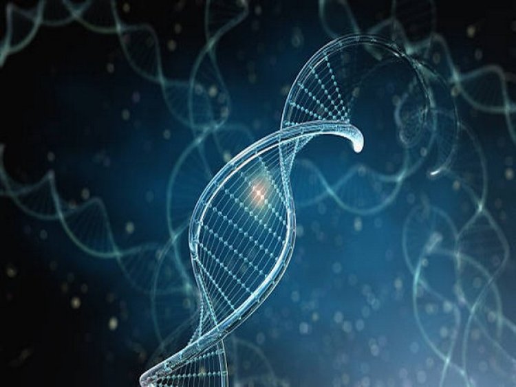 New research sheds light on how genes turn on and off
