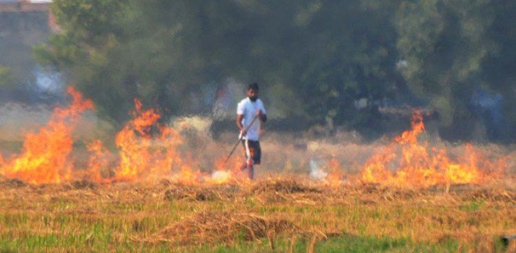 Air quality 'severe' in city, farm fires rage in Punjab