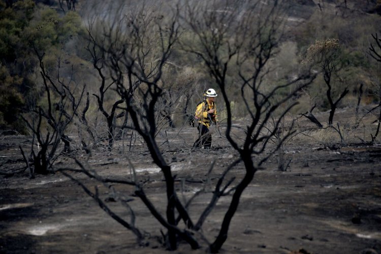 Impacts from climate change rapidly accelerating in California: Report