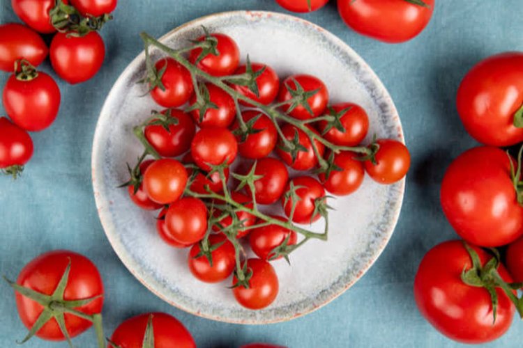 Researchers reveal tomatoes' health benefits to gut microbes