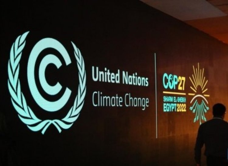 Haryana showcases initiatives to support climate goals at COP27 in Egypt