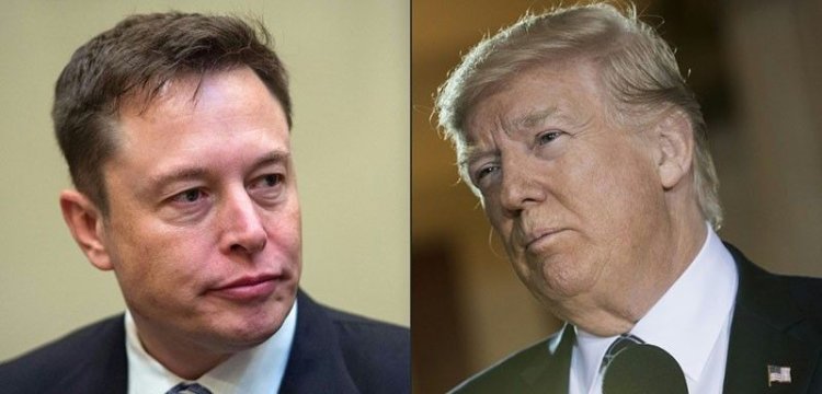Musk reinstates celebrity accounts on Twitter, says 'no decision' on Trump