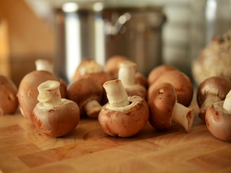 Porcini mushrooms have evolved with a preference for local adaptation: Research
