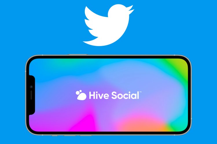 After Musk's takeover, Twitter alternative Hive sees surge in new users
