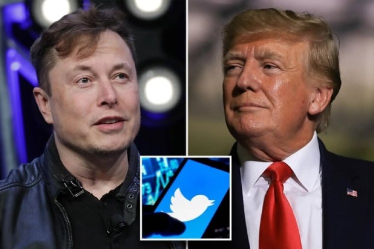 Twitter as a platform must be fair to all: Musk on Trump's reinstatement