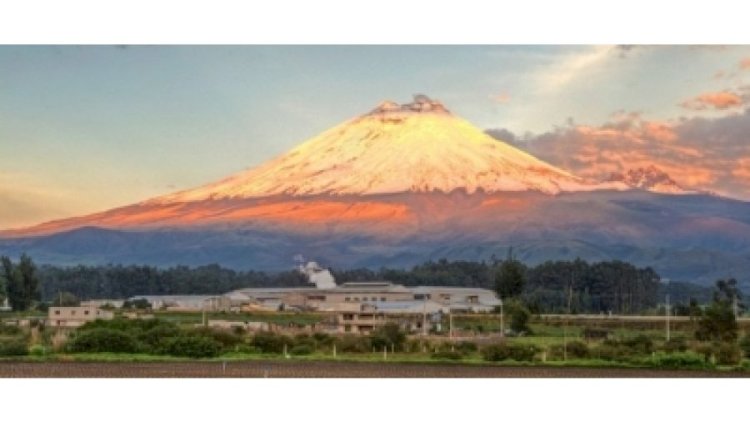 Ecuador volcano registers new activity with gas emissions, ash fall