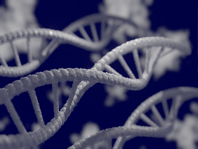 Study illustrates how cells choose DNA repair methods