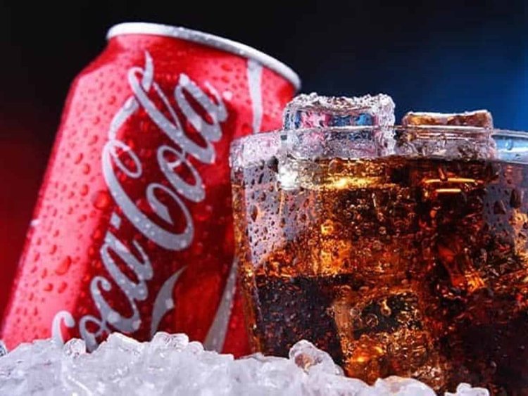 Kerala govt to get closed down Coke factory property; protesters up in arms