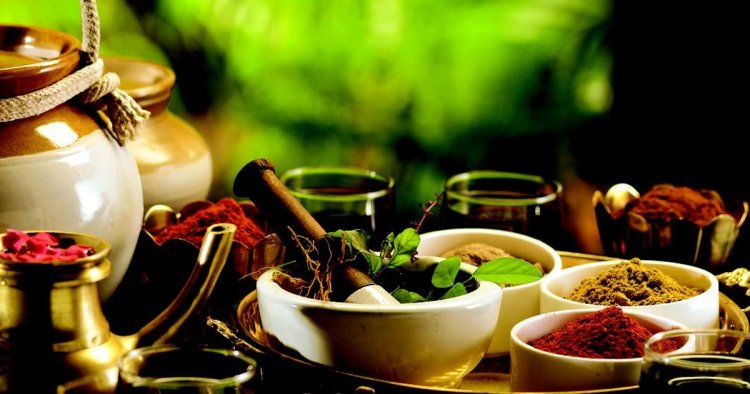 Ayurveda experts call for novel strategies to conserve medicinal plants