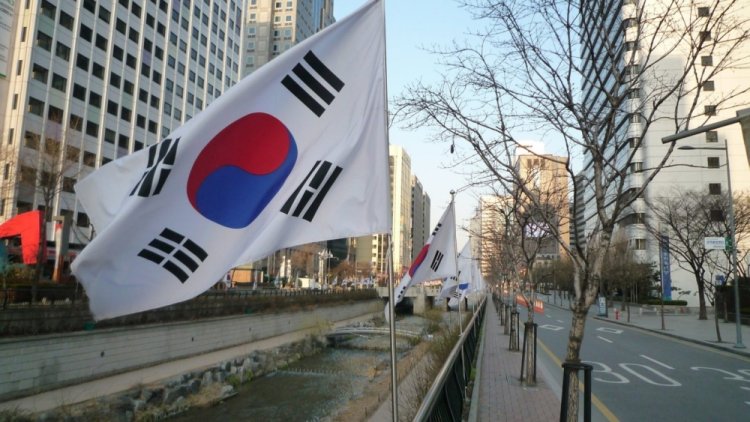 S Korea co-sponsors UN resolution on Pyongyang rights after 5-yr hiatus