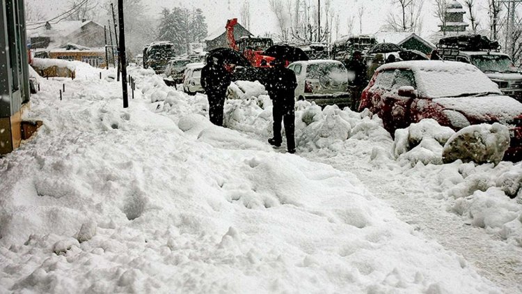 Large parts of north India continue to reel under numbing cold