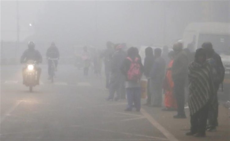 Delhi cold wave: IMD predicts fresh spell of very dense fog in Delhi