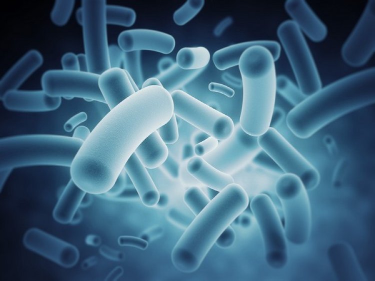 Researchers identify novel tool to unveil communication between gut microbes, brain