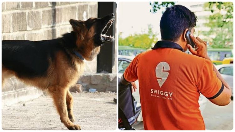 Swiggy delivery agent dies after falling off building escaping dog's attack