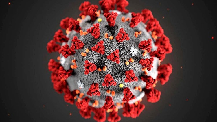 Coronavirus XBB.1.5 variant cases rise to 26 in India: INSACOG data