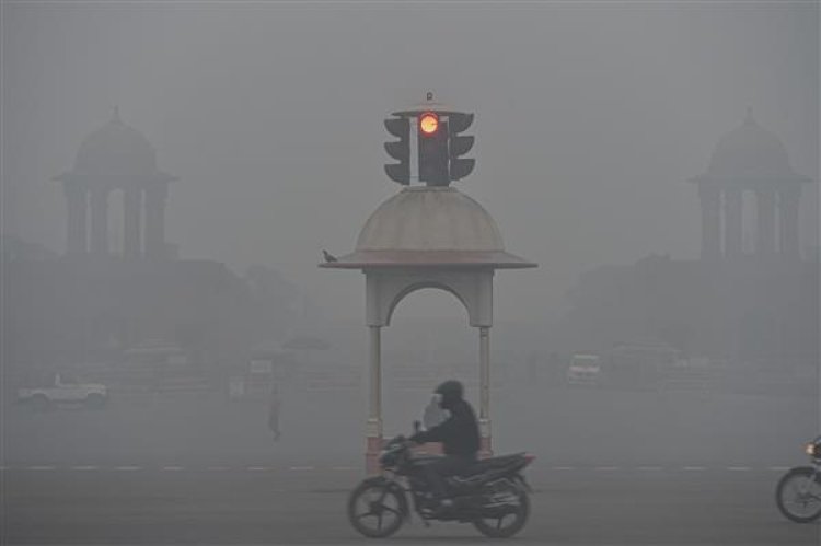 Delhi records eighth cold wave day in Jan; most in 1 month in past 12 yrs