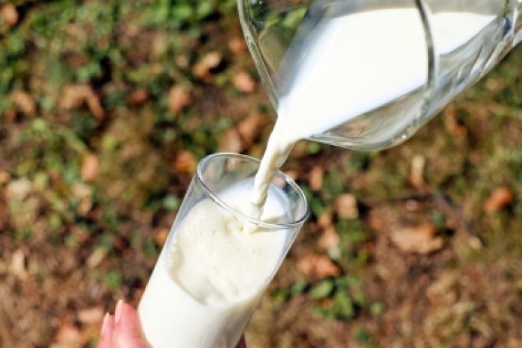 Milk's packaging influences its flavour: Research