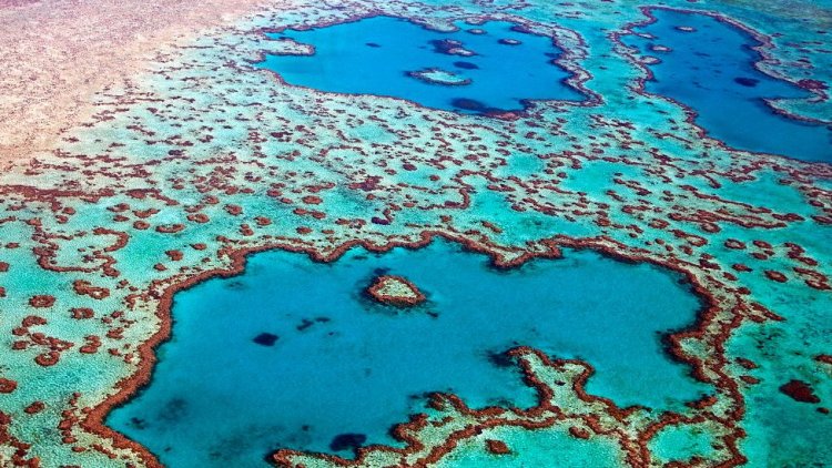 Australia blocks proposed coal mine to protect Great Barrier Reef
