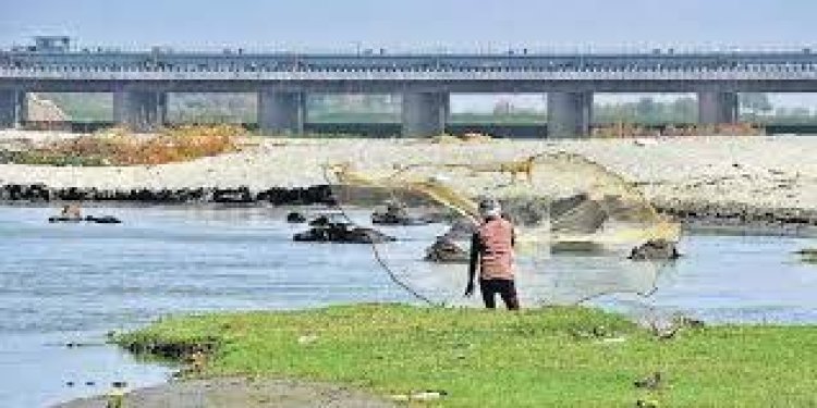 Intensive operation to clean Yamuna floodplains to be launched on Thursday