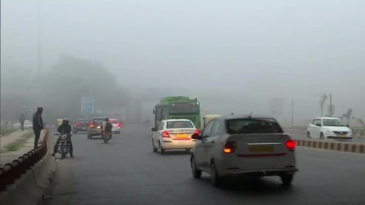 Delhi sees dense fog but min temp 3 notches above normal at 14.6 degrees C