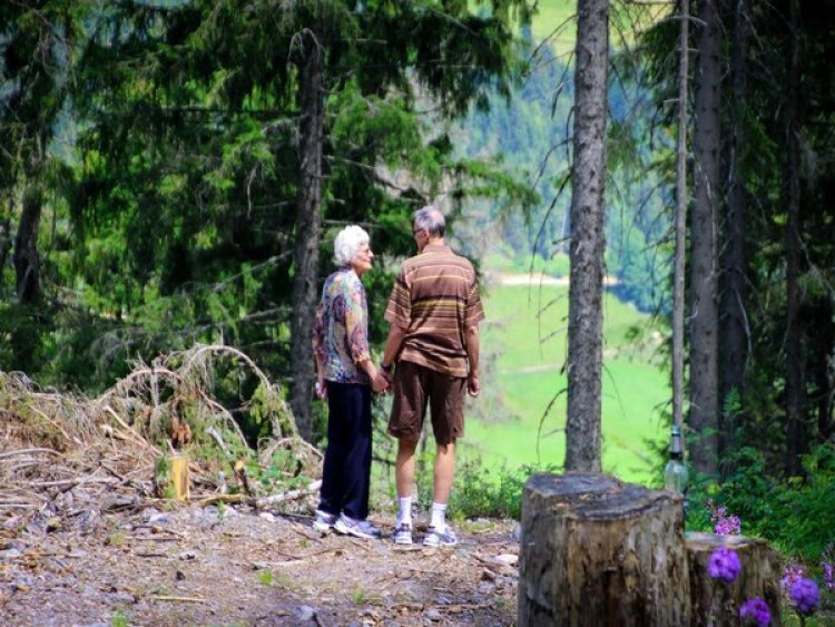 Study reveals nature-based activities help older people improve health, quality of life