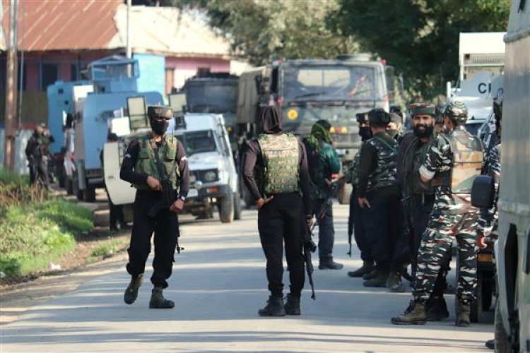 Terrorist killed in overnight encounter in Jammu Kashmir's Pulwama: Police