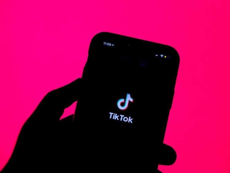 US inches closer to ban TikTok nationwide over data security concerns