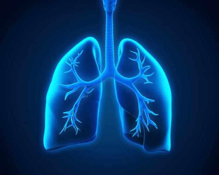 Pneumonia linked with higher death risk from respiratory infection as adult