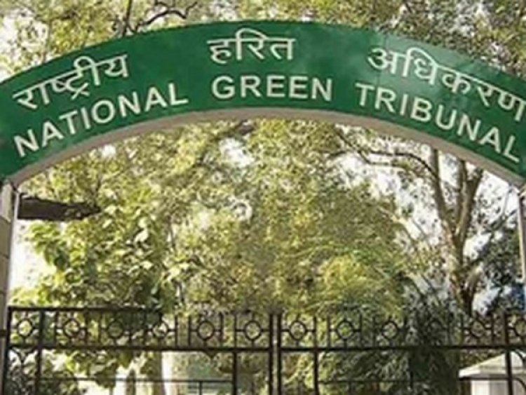 NGT seeks facts on petition claiming illegal groundwater usage in Haryana